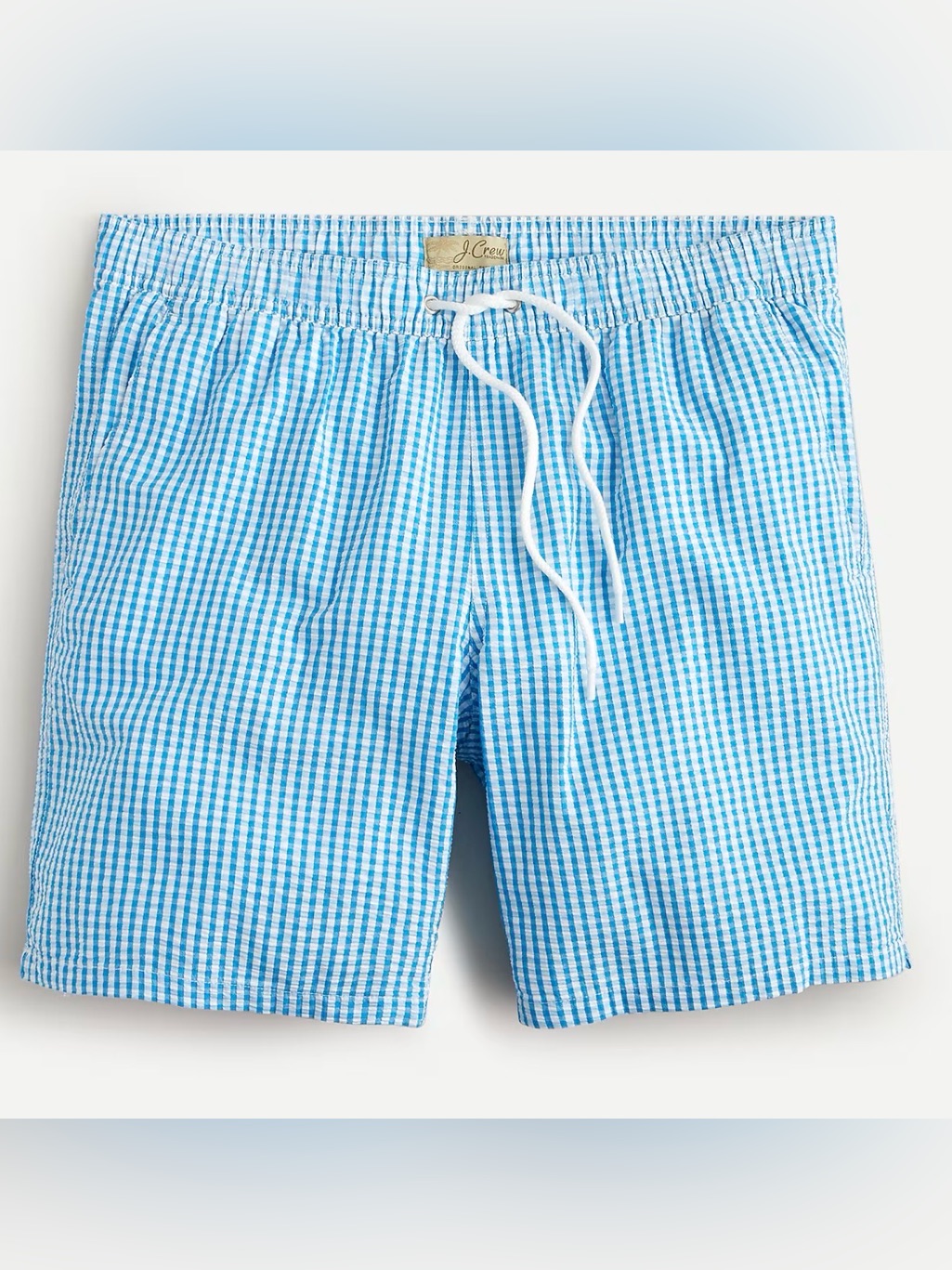 Swim Trunk In Gingham
